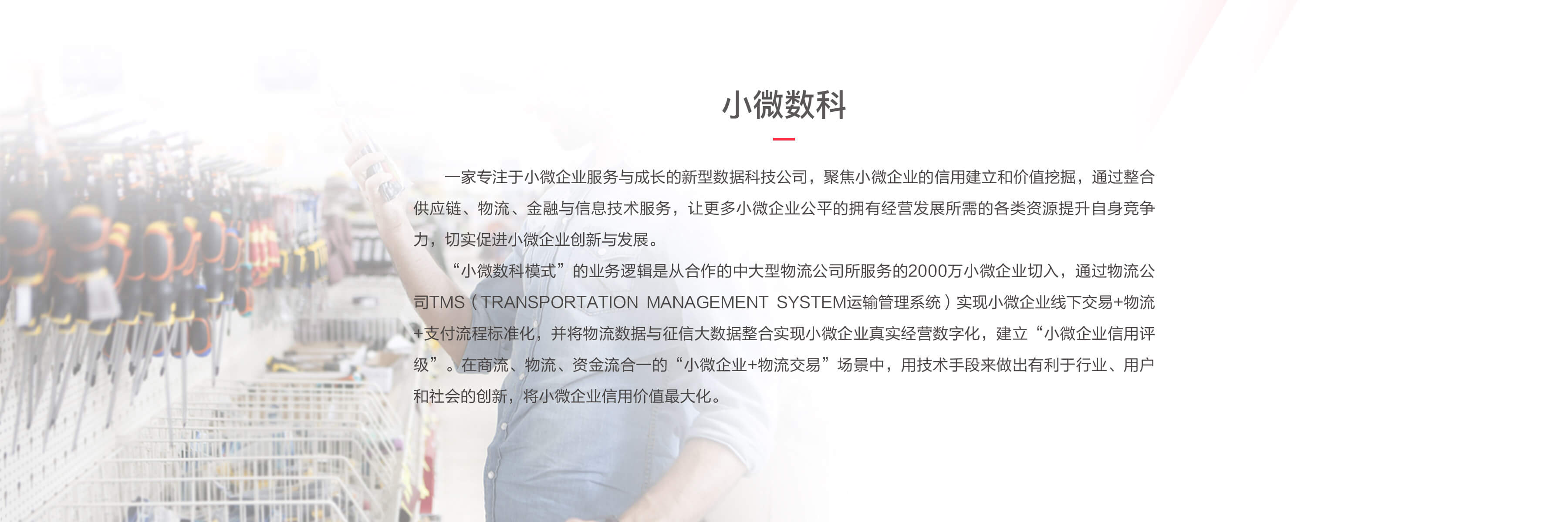 公司介绍